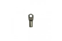 LUG 25MMX6MM /100 HT